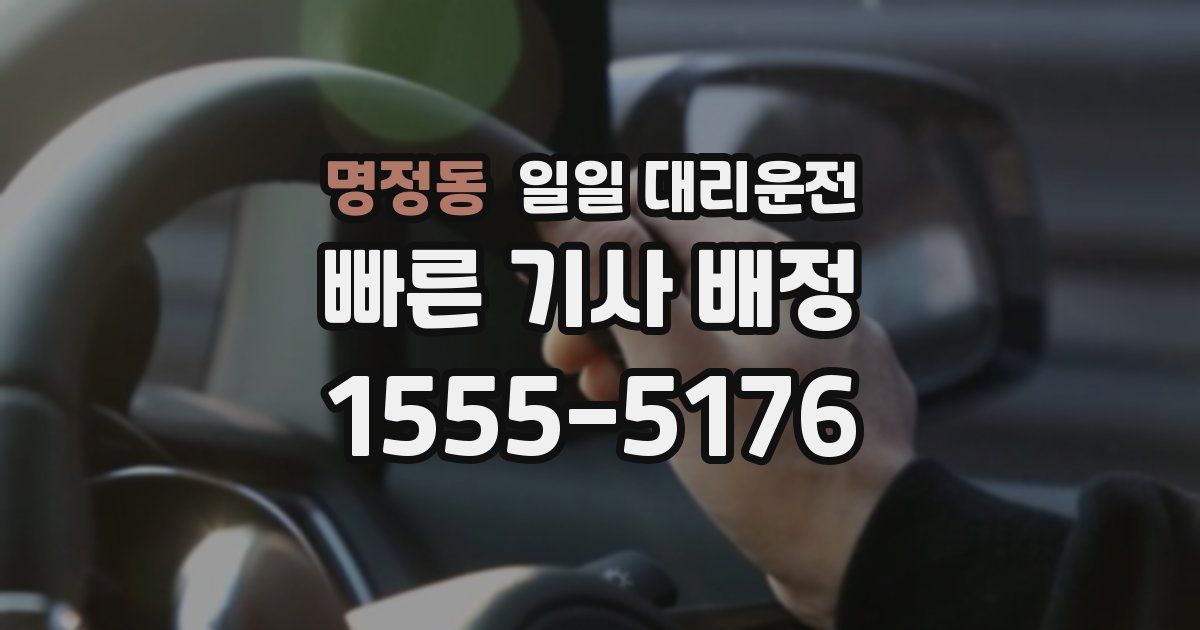 명정동 일일 대리운전