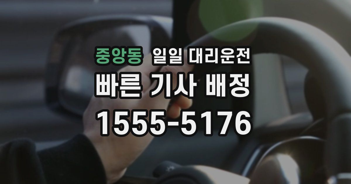 중앙동 일일 대리운전