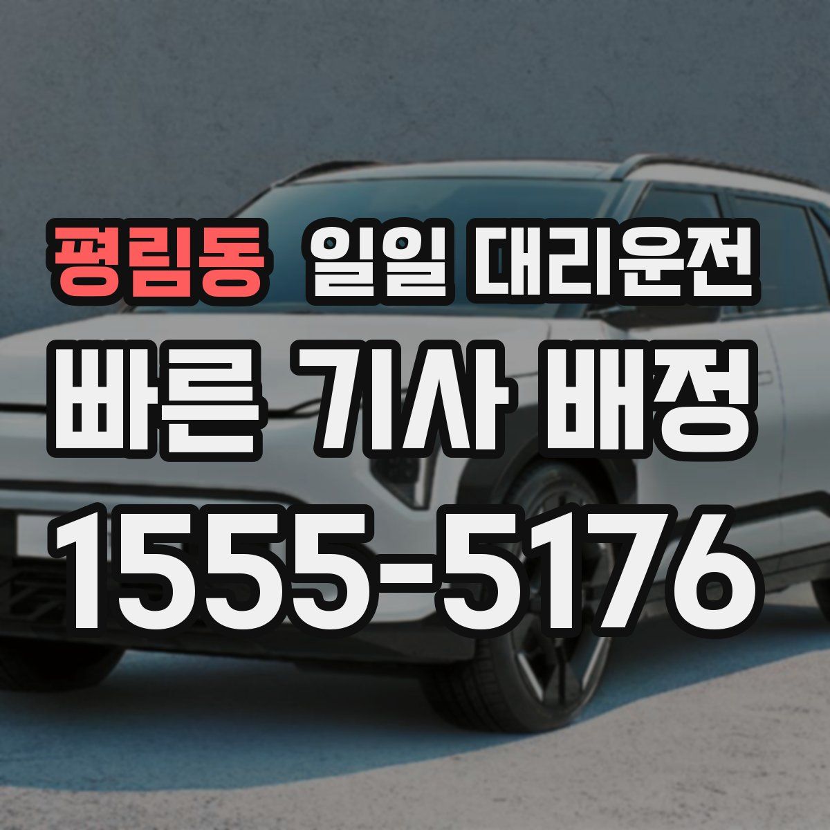 평림동 일일 대리운전