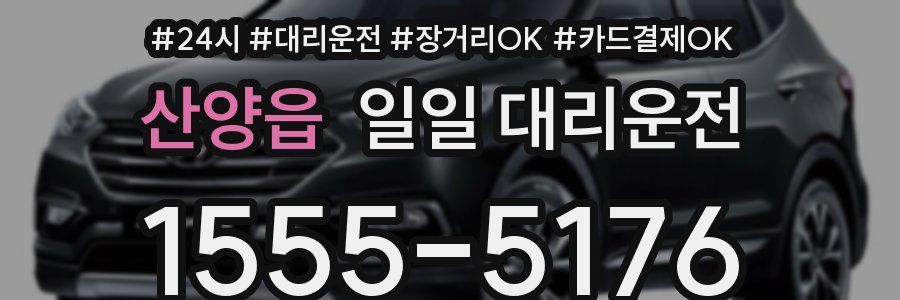 산양읍 일일 대리운전