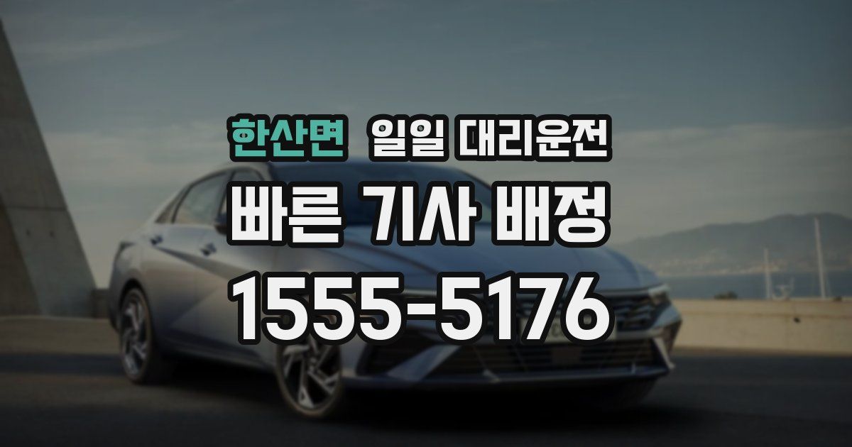 한산면 일일 대리운전
