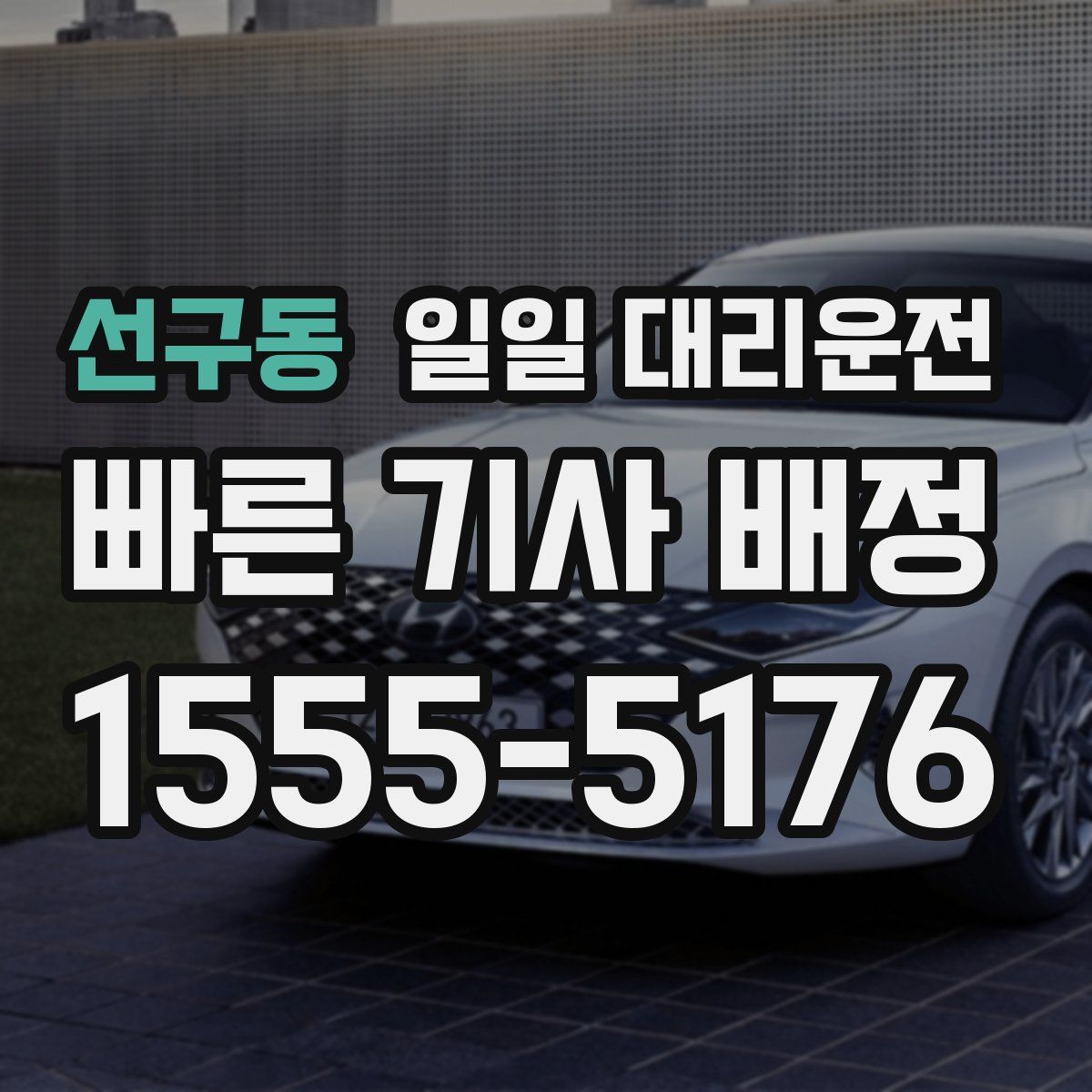 선구동 일일 대리운전