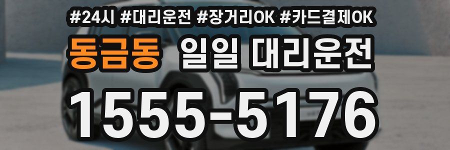 동금동 일일 대리운전