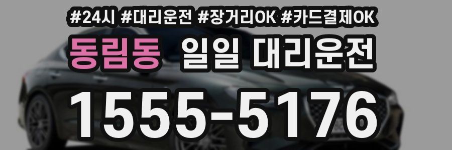 동림동 일일 대리운전