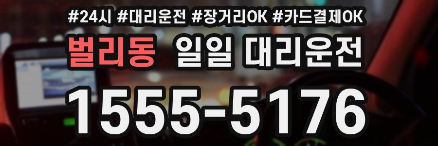 벌리동 일일 대리운전