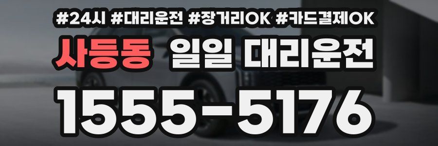 사등동 일일 대리운전