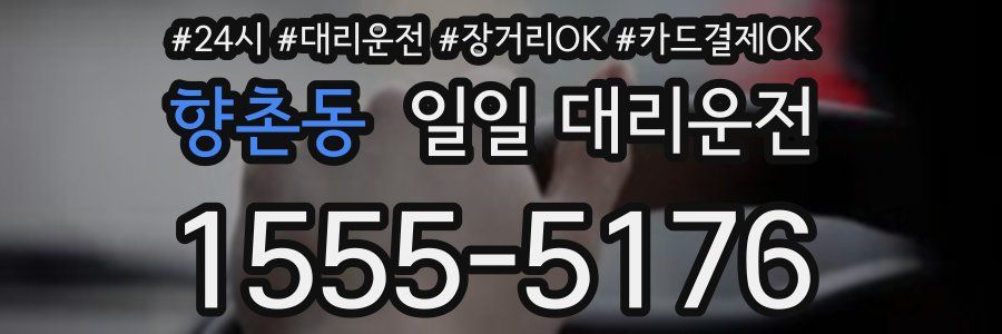 향촌동 일일 대리운전