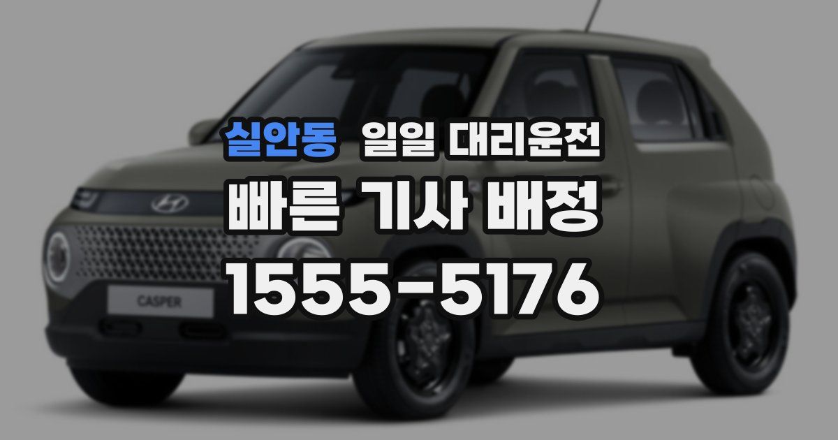 실안동 일일 대리운전
