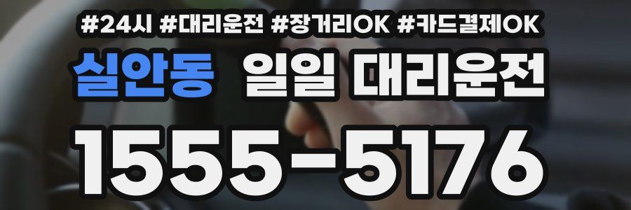 실안동 일일 대리운전