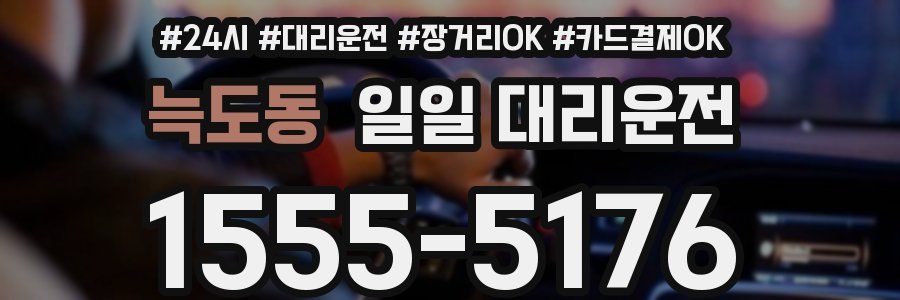 늑도동 일일 대리운전