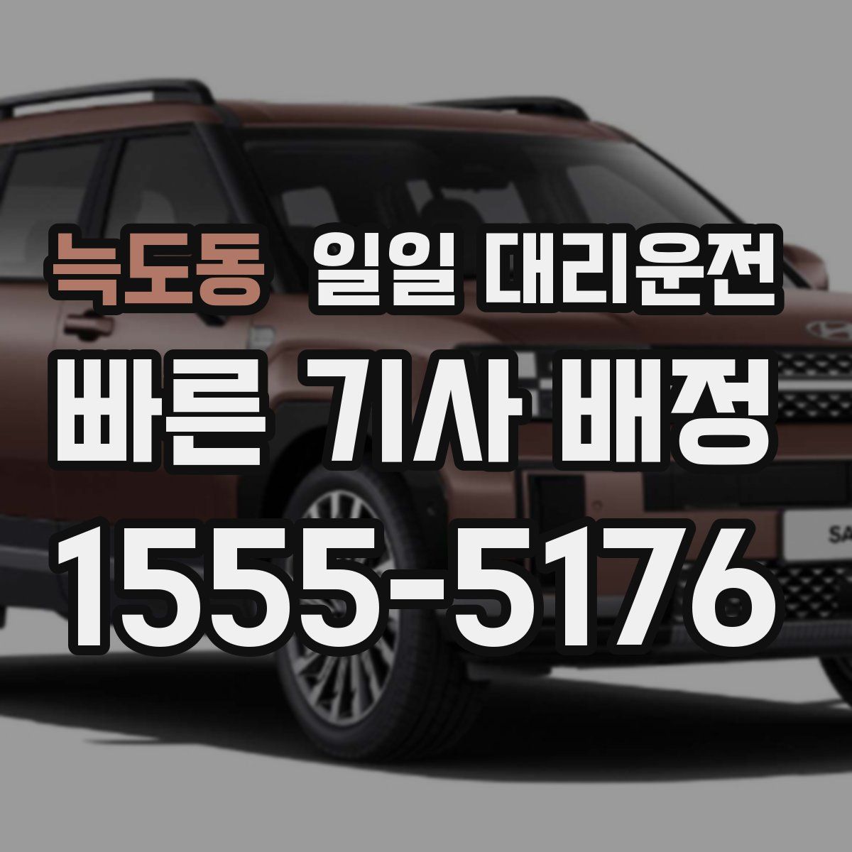 늑도동 일일 대리운전