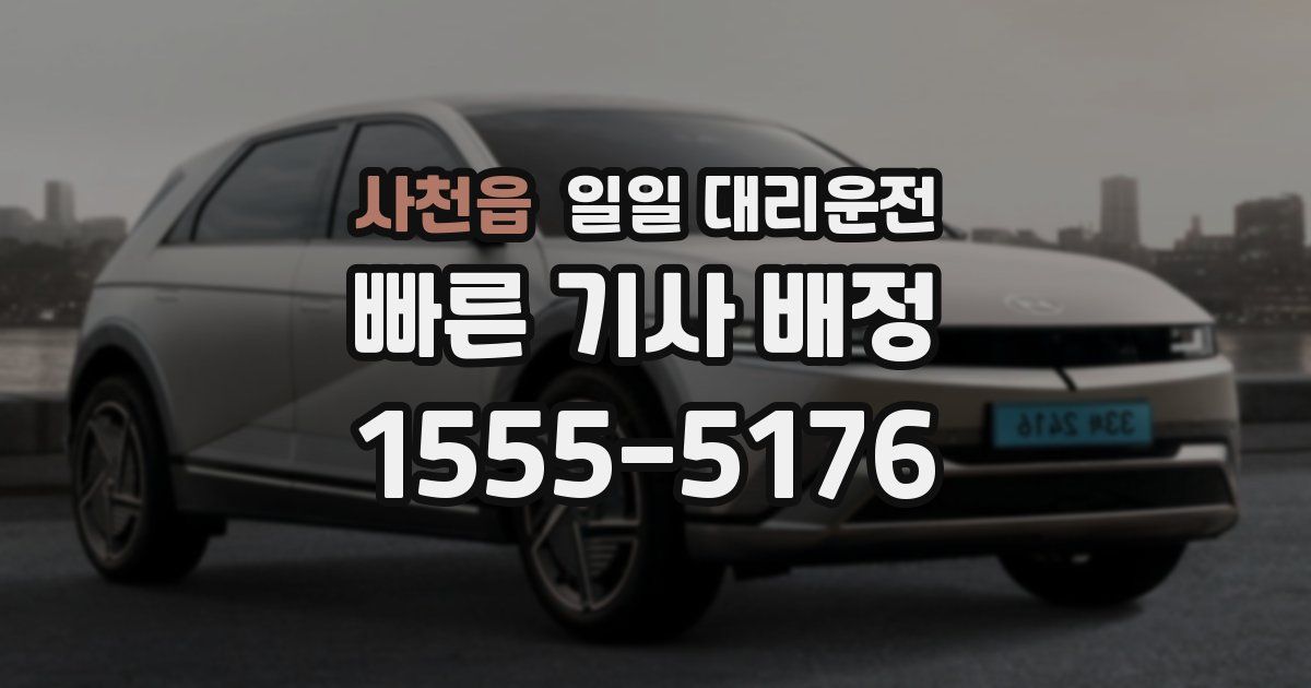 사천읍 일일 대리운전