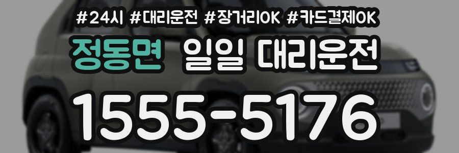 정동면 일일 대리운전