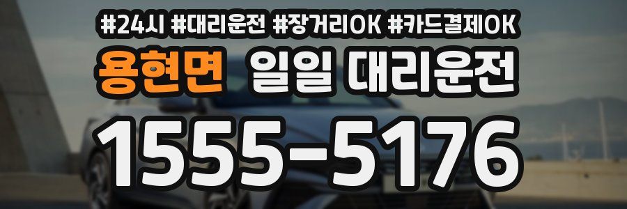 용현면 일일 대리운전