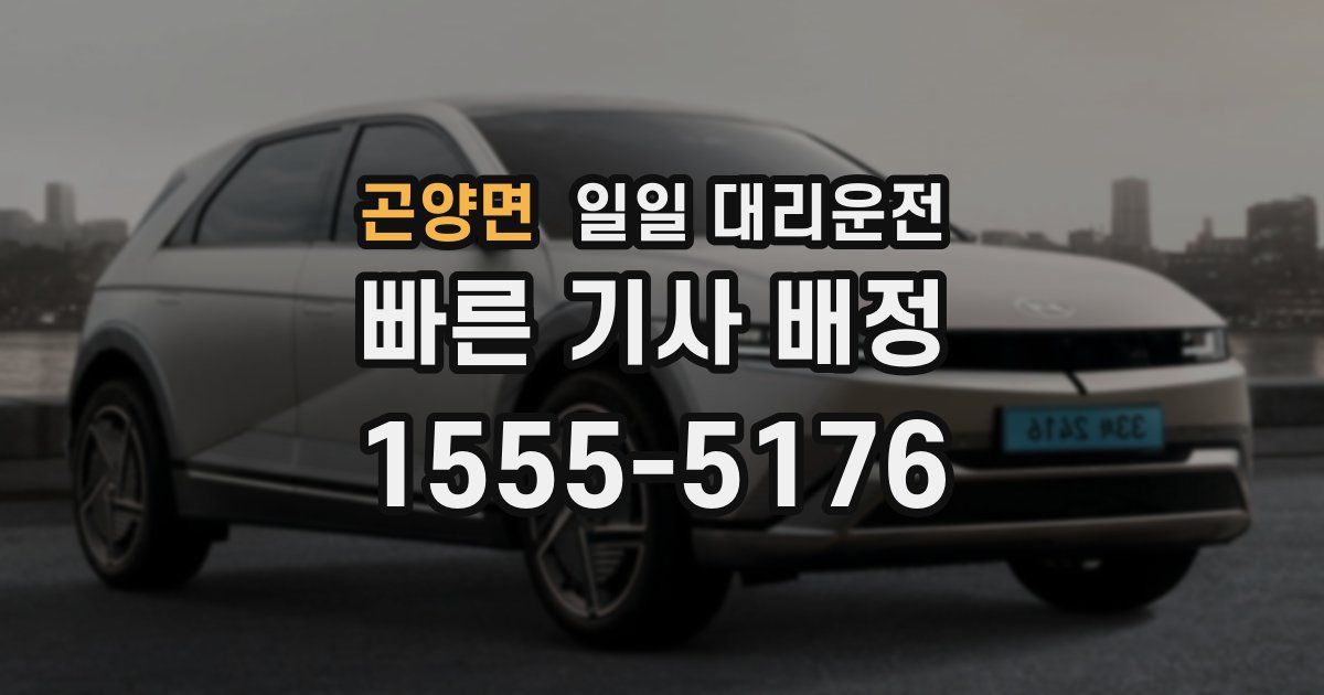 곤양면 일일 대리운전