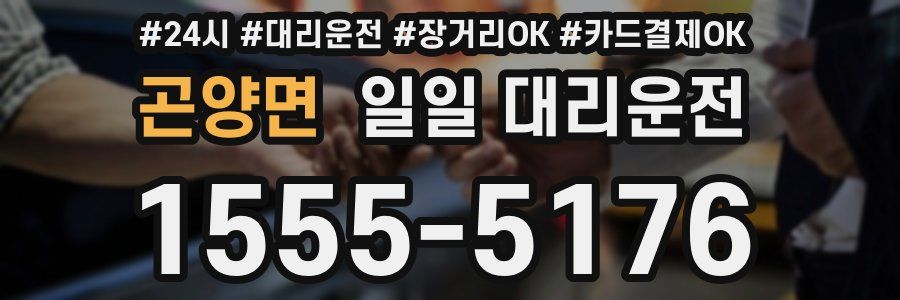 곤양면 일일 대리운전