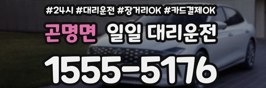 곤명면 일일 대리운전