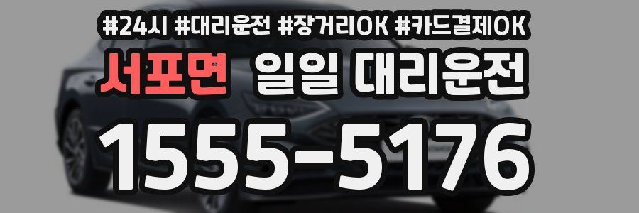 서포면 일일 대리운전