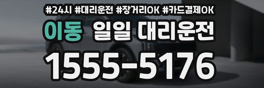 이동 일일 대리운전