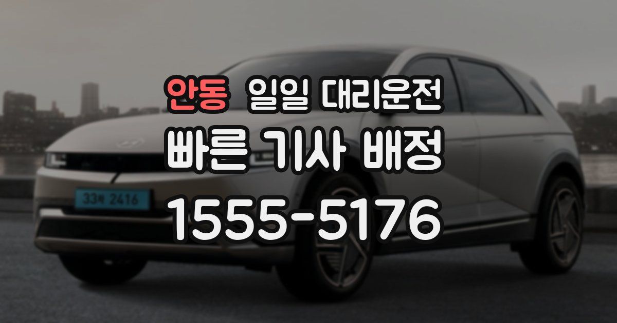 안동 일일 대리운전