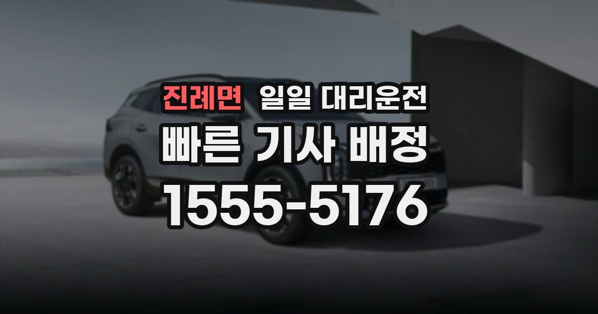 진례면 일일 대리운전