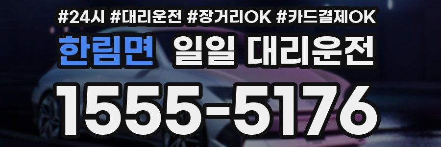 한림면 일일 대리운전