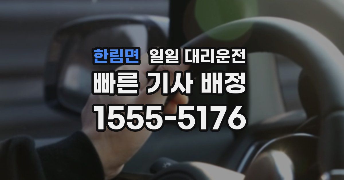 한림면 일일 대리운전
