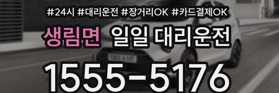 생림면 일일 대리운전