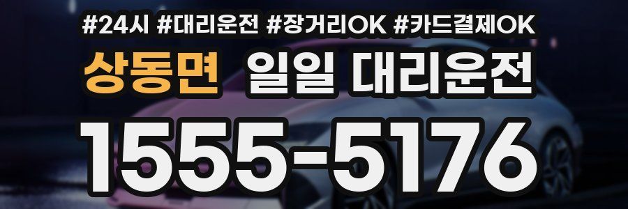 상동면 일일 대리운전