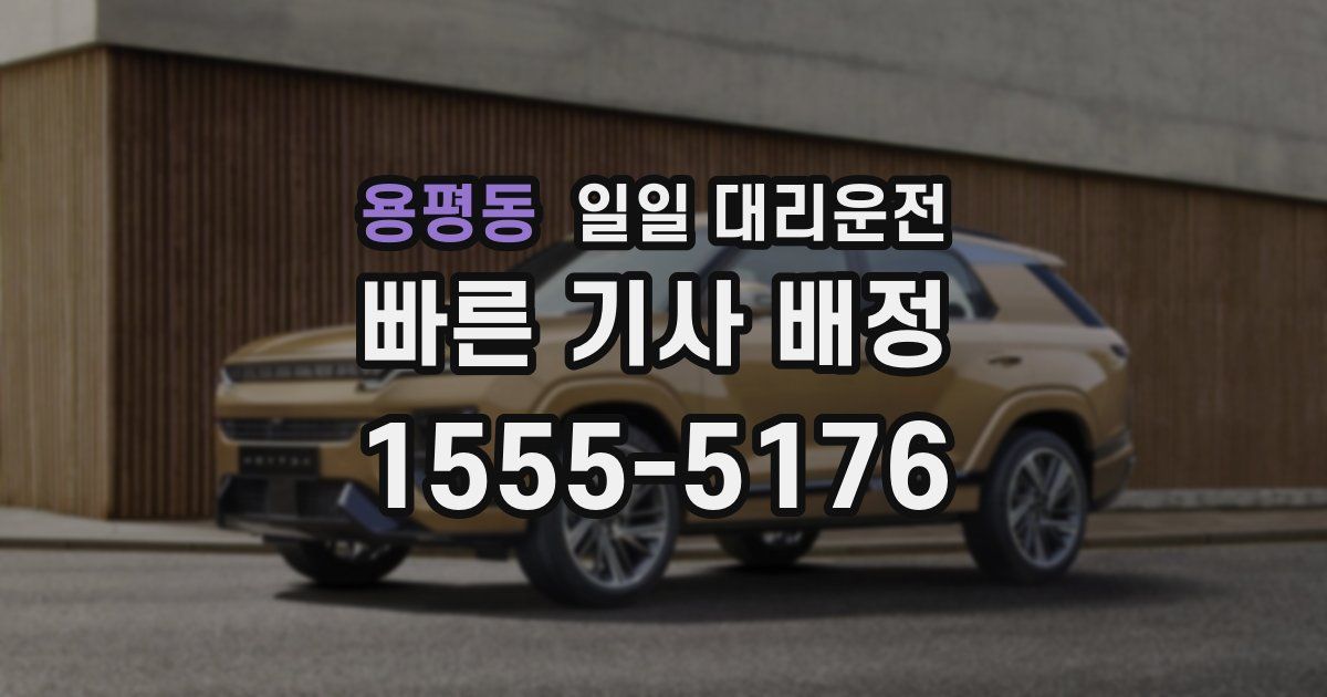 용평동 일일 대리운전