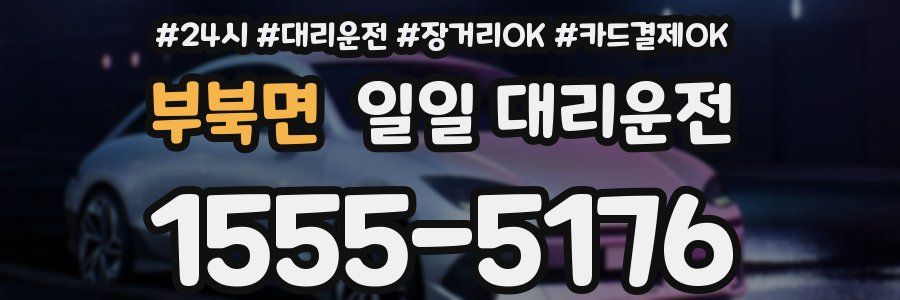 부북면 일일 대리운전