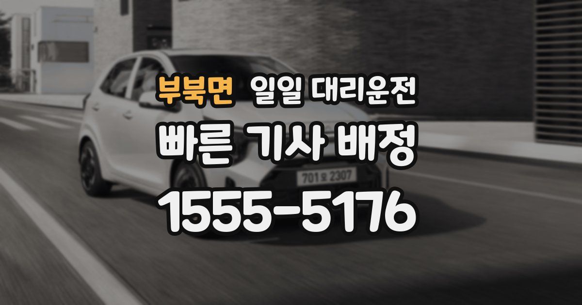 부북면 일일 대리운전