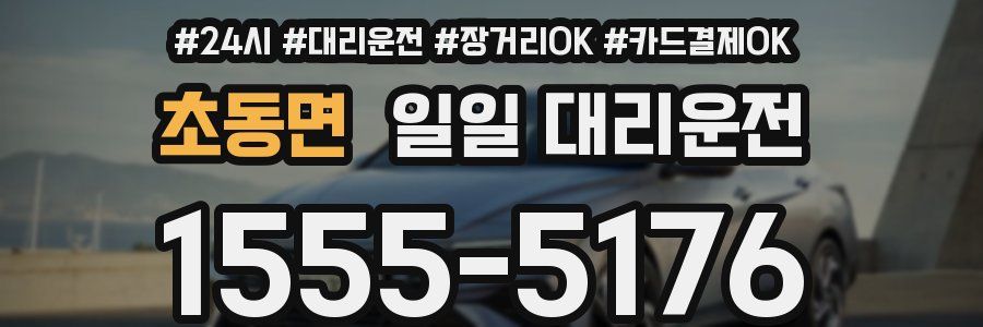 초동면 일일 대리운전