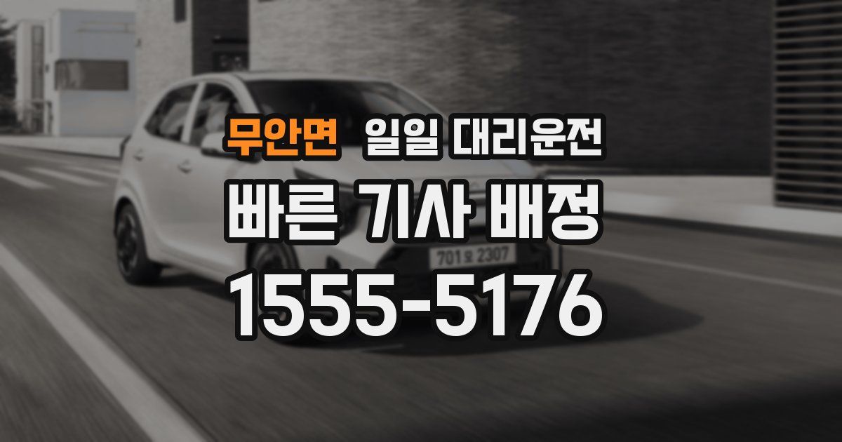 무안면 일일 대리운전