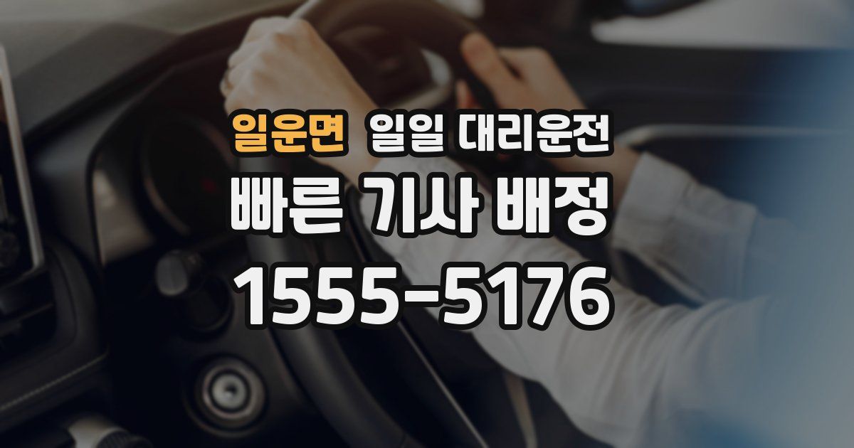 일운면 일일 대리운전