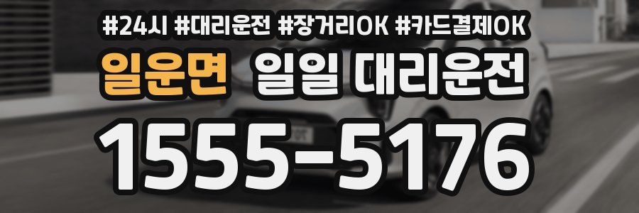 일운면 일일 대리운전
