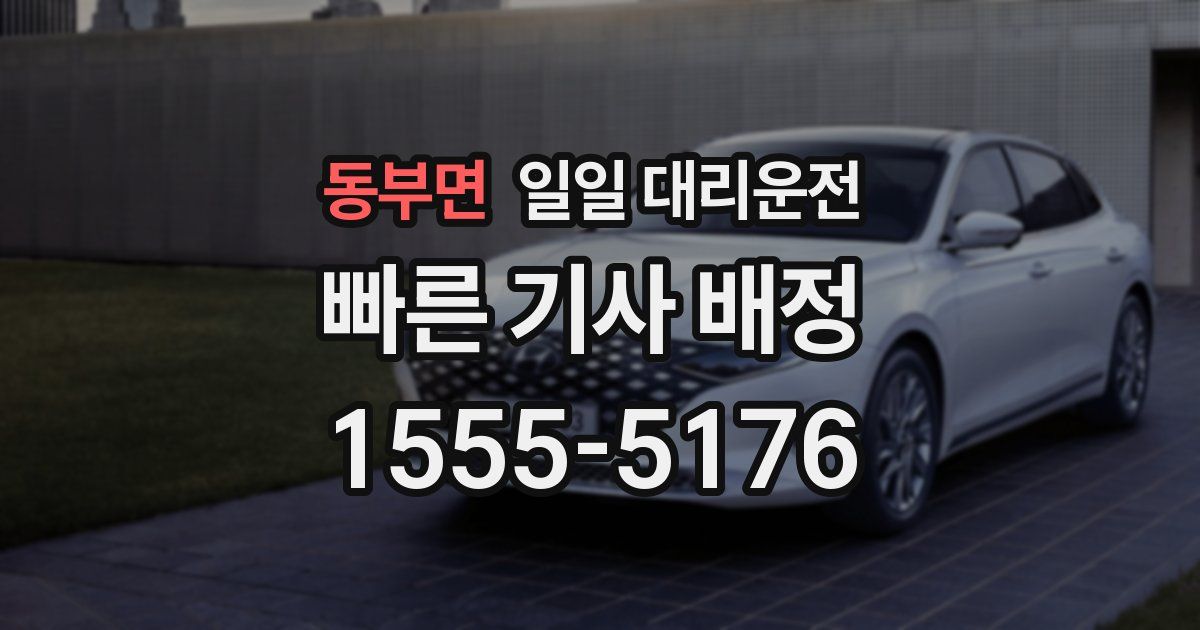 동부면 일일 대리운전