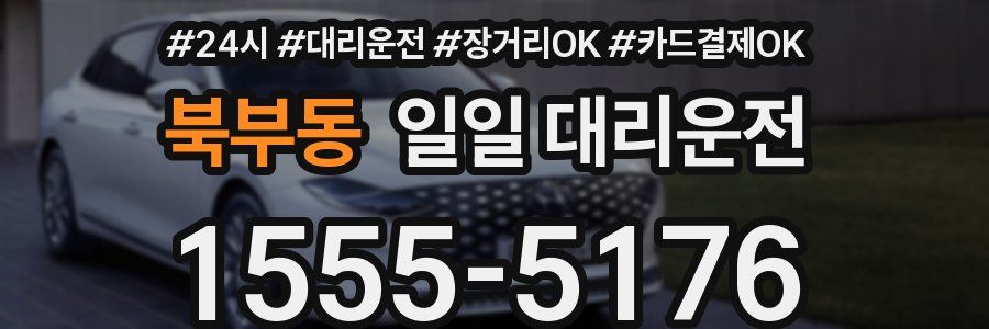 북부동 일일 대리운전