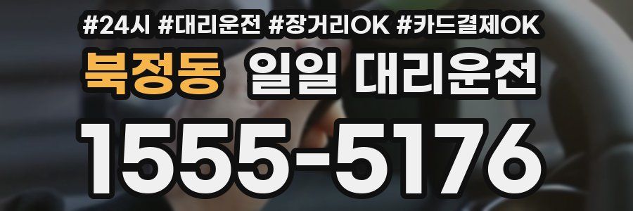 북정동 일일 대리운전