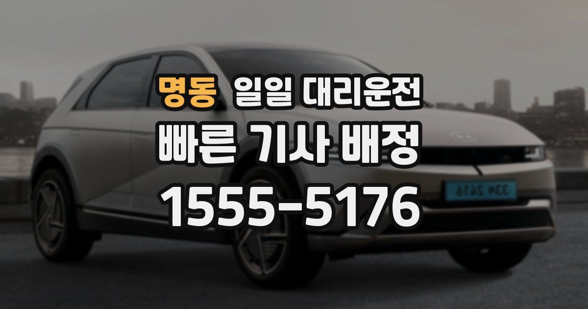 명동 일일 대리운전