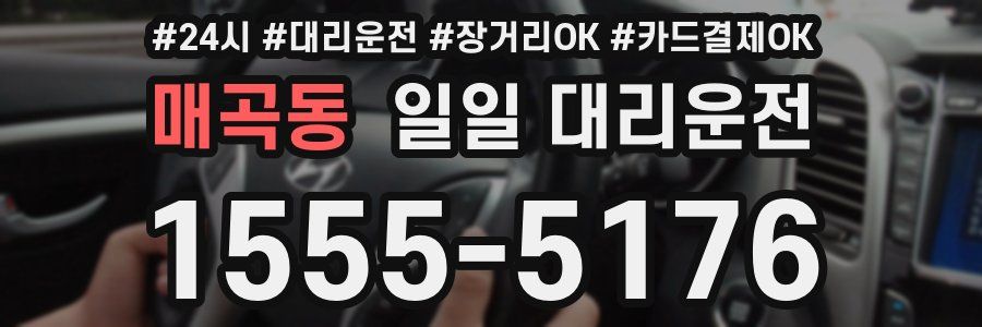 매곡동 일일 대리운전