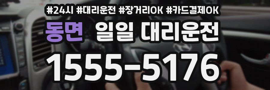 동면 일일 대리운전