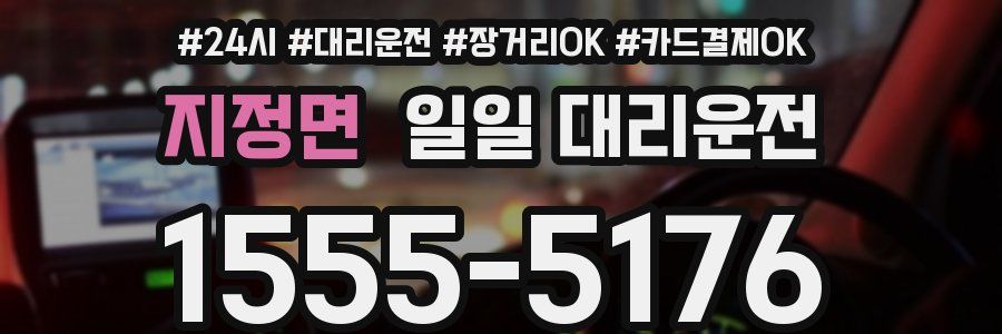 지정면 일일 대리운전