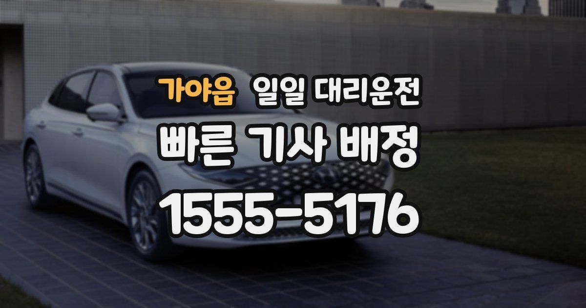 가야읍 일일 대리운전