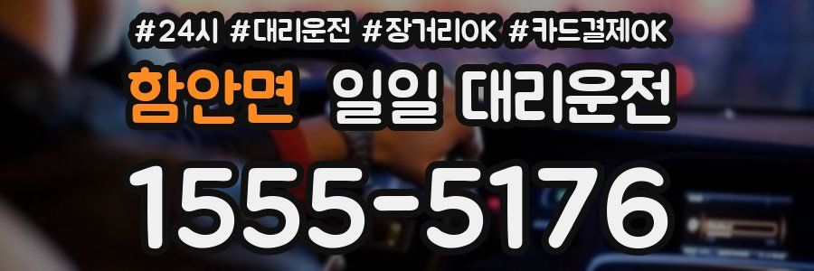 함안면 일일 대리운전