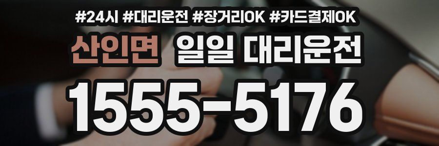 산인면 일일 대리운전