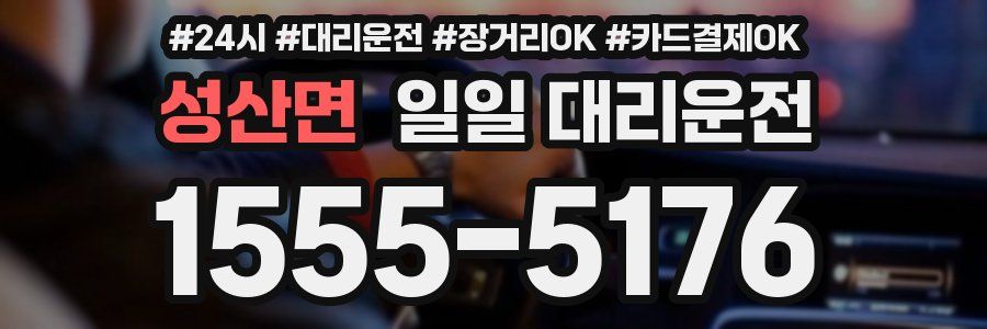 성산면 일일 대리운전