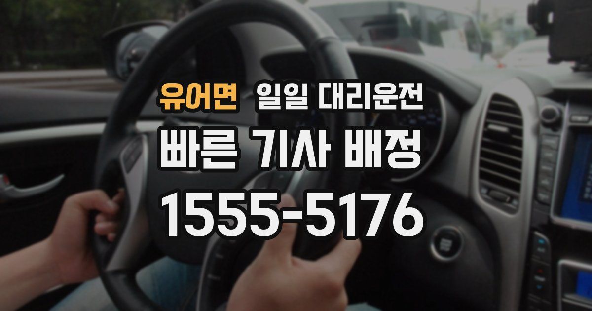 유어면 일일 대리운전
