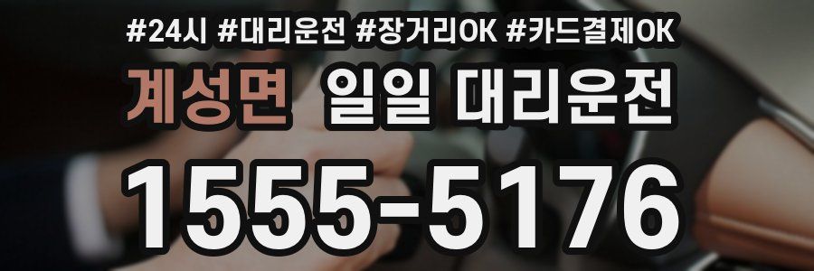 계성면 일일 대리운전