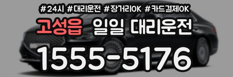 고성읍 일일 대리운전